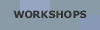 Workshops
